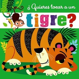 ¿QUIERES TOCAR A UN TIGRE? | 9788469629291 | VARIOS AUTORES