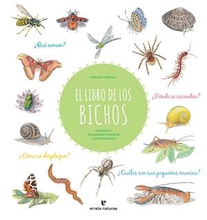 EL LIBRO DE LOS BICHOS | 9788417800413 | TORDJMAN, NATHALIE