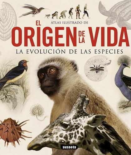 ORIGEN DE LA VIDA, EL | 9788467713336 | MASSA, RENATO