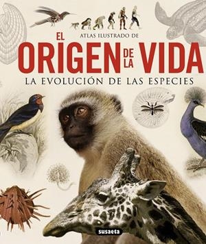 ORIGEN DE LA VIDA, EL | 9788467713336 | MASSA, RENATO
