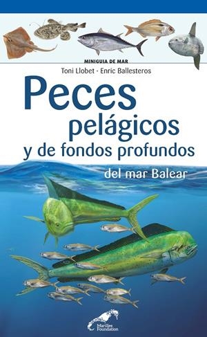 PECES PELÁGICOS Y DE FONDOS PROFUNDOS DEL MAR BALEAR | 9788490349571 | LLOBET FRANÇOIS, TONI/BALLESTEROS SAGARRA, ENRIC