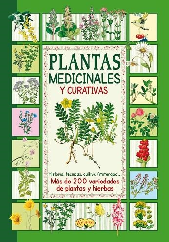 PLANTAS MEDICINALES Y CURATIVAS | 9788415401759 | AAVV
