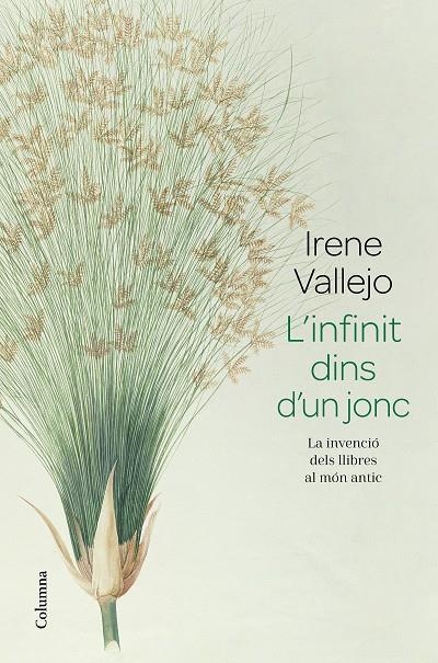 L'INFINIT DINS D'UN JONC | 9788466426947 | VALLEJO, IRENE