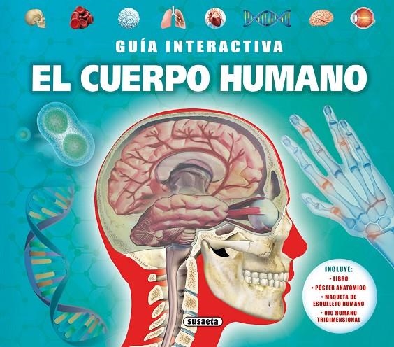 EL CUERPO HUMANO | 9788467752915 | DE LA BéDOYèRE, CAMILLA