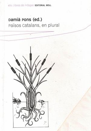 PAISOS CATALANS EN PLURAL | 9788427311053 | PONS, DAMIA