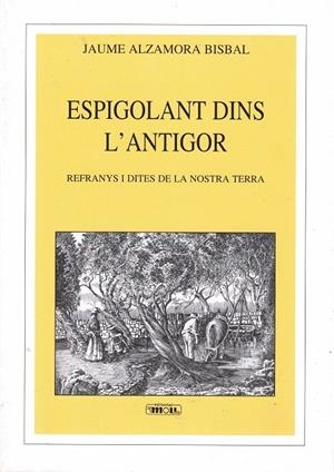 ESPIGOLANT DINS L'ANTIGOR | 9788427340534 | ALZAMORA BISBAL, JAUME