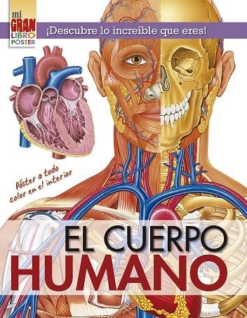 MII GRAN LIBRO PÓSTER: CUERPO HUMANO | 9788491453840 | XACT STUDIO INC.