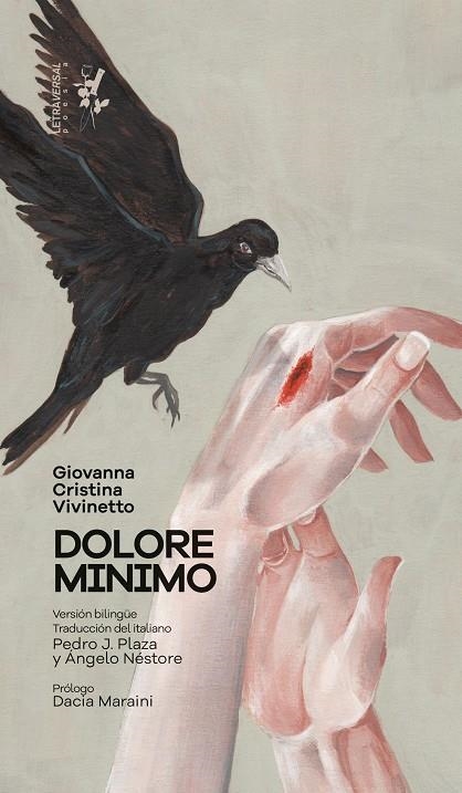 DOLORE MINIMO | 9788412276664 | VIVINETTO, GIOVANNA CRISTINA