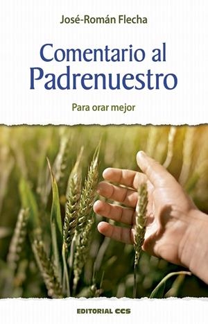 COMENTARIO AL PADRENUESTRO | 9788413790435 | FLECHA ANDRÉS, JOSÉ-ROMÁN