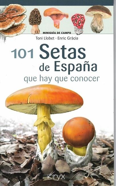 101 SETAS DE ESPAÑA | 9788418735080 | LLOBET FRANÇOIS, TONI/GRÀCIA I BARBA, ENRIC