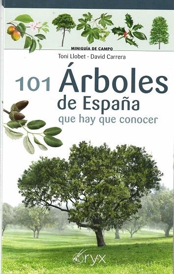 101 ÁRBOLES DE ESPAÑA | 9788418735097 | LLOBET FRANÇOIS, TONI/CARRERA BONET, DAVID