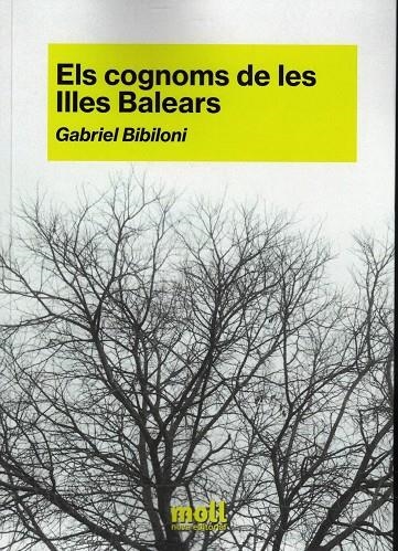 ELS COGNOMS DE LES ILLES BALEARS | 9788427340589 | BIBILONI, GABRIEL