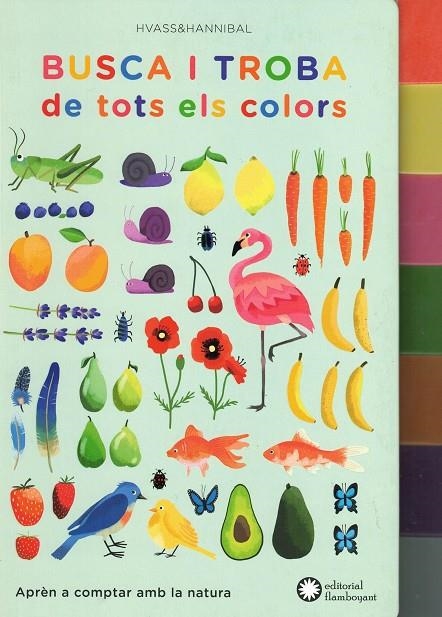 BUSCA I TROBA DE TOTS ELS COLORS | 9788494504259