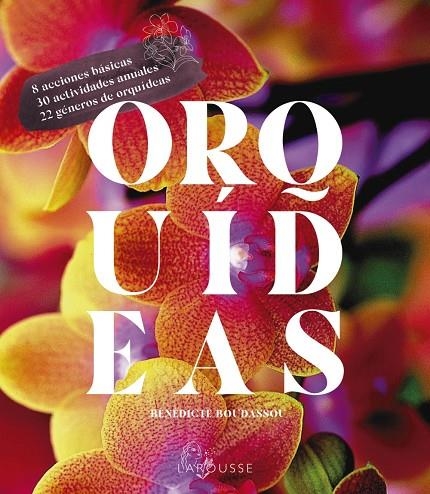 ORQUÍDEAS | 9788418882470 | BOUDASSOU, BÉNÉDICTE