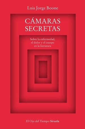 CÁMARAS SECRETAS | 9788419207463 | BOONE, LUIS JORGE