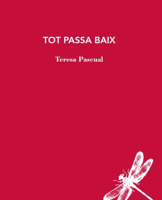 TOT PASSA BAIX | 9788412577426 | PASCUAL, TERESA