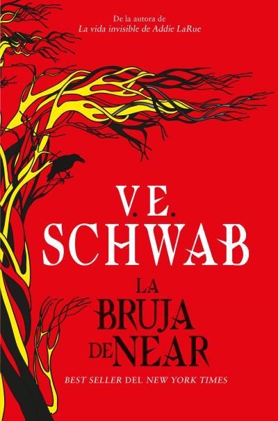 LA BRUJA DE NEAR | 9788416622917 | SCHWAB, V. E.