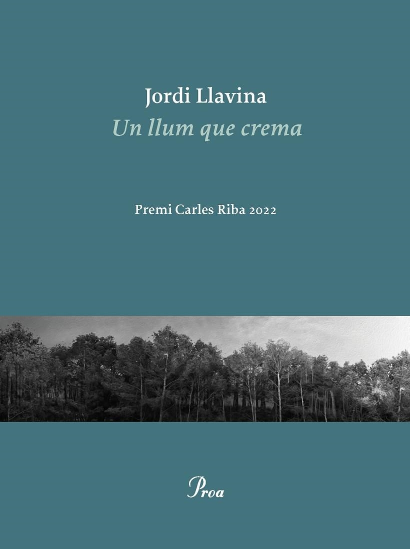 UN LLUM QUE CREMA | 9788475889979 | LLAVINA, JORDI