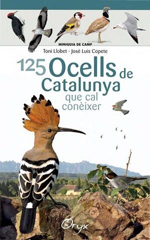 125 OCELLS DE CATALUNYA | 9788490346747 | LLOBET FRANÇOIS, TONI/COPETE, JOSÉ LUIS