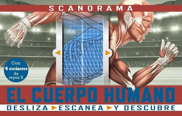 SCANORAMA. EL CUERPO HUMANO | 9788469667620 | CLAYBOURNE, ANNA