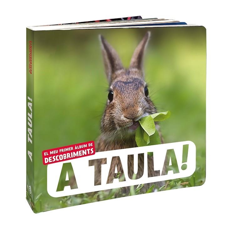 A TAULA! | 9788418762710 | NATURAGENCY