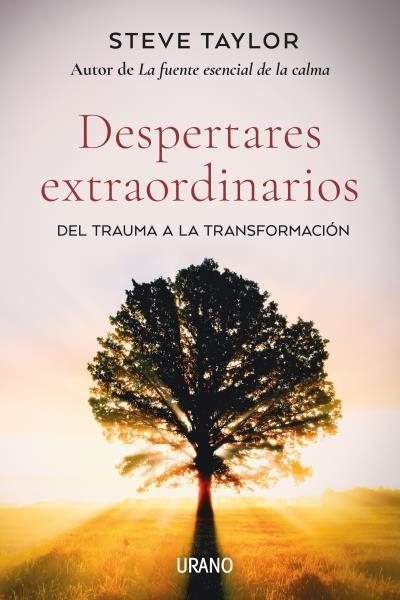 DESPERTARES EXTRAORDINARIOS | 9788418714061 | TAYLOR, STEVE