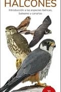 HALCONES - GUIAS DESPLEGABLES TUNDRA | 9788418458071 | HERNANDEZ, VICTOR J.