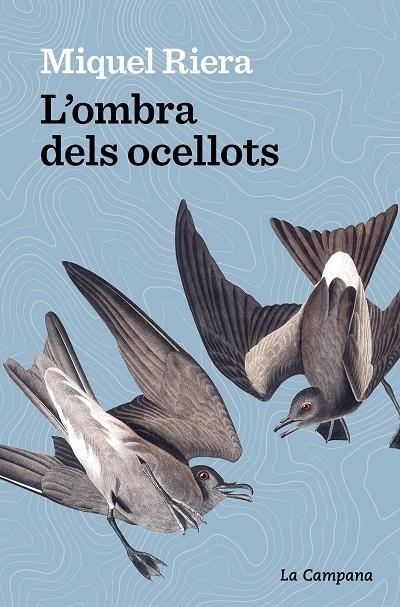 L’OMBRA DELS OCELLOTS | 9788419245175 | RIERA, MIQUEL