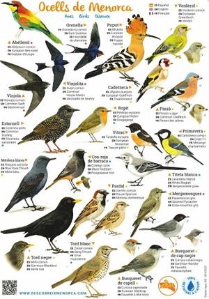 LÀMINES OCELLS DE MENORCA | 1112023
