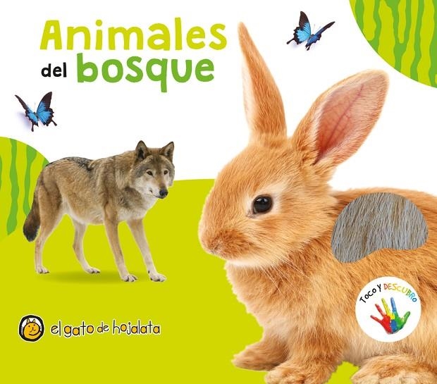 ANIMALES DEL BOSQUE | 9789878202822 | AA.VV.