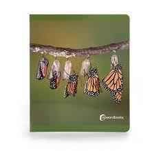 LOS CILOS DE LA VIDA | 9788412344530 | AA.VV.