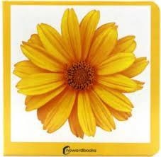 AMARILLO | 9788412534429 | NOWORDBOOKS