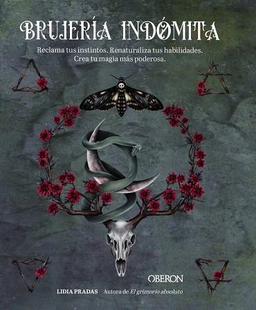 BRUJERÍA INDÓMITA | 9788441549197 | PRADAS SALA, LIDIA