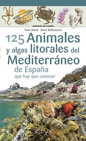 125 ANIMALES Y ALGAS LITORALES DEL MEDITERRÁNEO DE ESPAÑA QUE HAY QUE CONOCER | 9788418735400 | LLOBET, TONI/BALLESTEROS, ENRIC