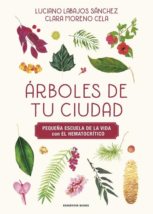 ÁRBOLES DE TU CIUDAD (PEQUEÑA ESCUELA DE LA VIDA CON EL HEMATOCRÍTICO) | 9788419940483 | LABAJOS SÁNCHEZ, LUCIANO/MORENO, KLARI/EL HEMATOCRÍTICO