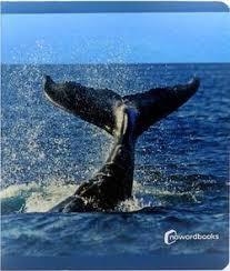 ANIMALES DEL MAR | 9788412344561 | AA.VV.