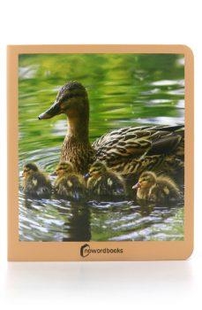 ANIMALES EN FAMILIA | 9788494810350 | AA.VV.