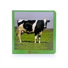 LOS ANIMALES DE LA GRANJA | 9788494174568 | NOWORDBOOKS