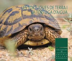 LES TORTUGUES DE TERRA I LA TORTUGA D?AIGUA A LES ILLES BALEARS | 9788412955903 | LUCIA LATORRE
