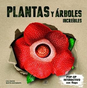 PLANTAS Y ÁRBOLES INCREÍBLES | 9788466243872 | MAESO FERNÁNDEZ, MARÍA DOLORES
