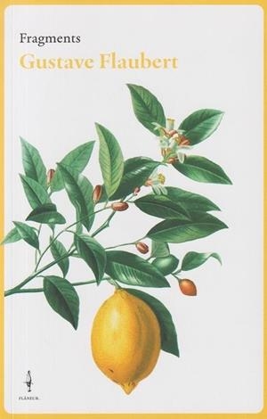 FRAGMENTS GUSTAVE FLAUBERT | 9788409684007 | FLAUBERT, GUSTAVE