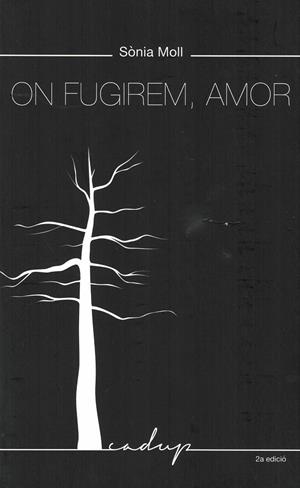 ON FUGIREM, AMOR | 9788412904352 | MOLL GAMBOA, SÒNIA