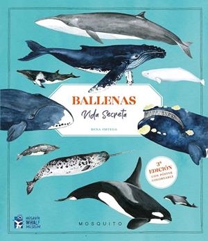 BALLENAS. VIDA SECRETA (3ª EDICIÓN CON PÓSTER COLOREABLE) | 9788410417151 | ORTEGA, RENA/ORTEGA, RENA