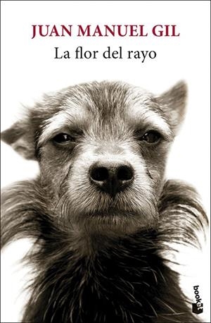 LA FLOR DEL RAYO | 9788432244827 | GIL, JUAN MANUEL