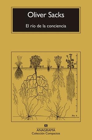 EL RÍO DE LA CONCIENCIA | 9788433946867 | SACKS, OLIVER