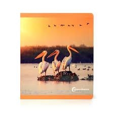 AVES | 9788412804331 | NOWORDBOOKS