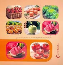 BUSCA Y ENCUENTRA FRUTAS Y HORTALIZAS | 9788412960501 | AA.VV.