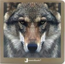 ANIMALES SALVAJES 2 | 9788412171051 | VVAA