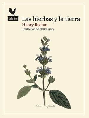 LAS HIERBAS Y LA TIERRA | 9788419168740 | BESTON, HENRY