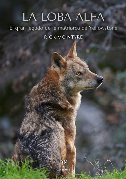 LA LOBA ALFA | 9788412949001 | MCINTYRE, RICK
